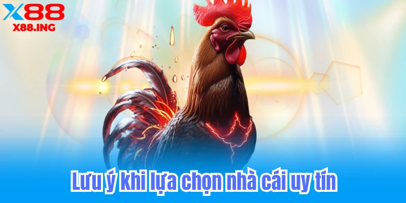 Lưu ý khi lựa chọn nhà cái uy tín